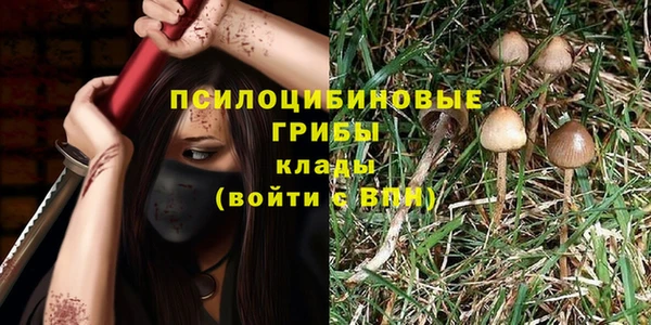 таблы Белокуриха