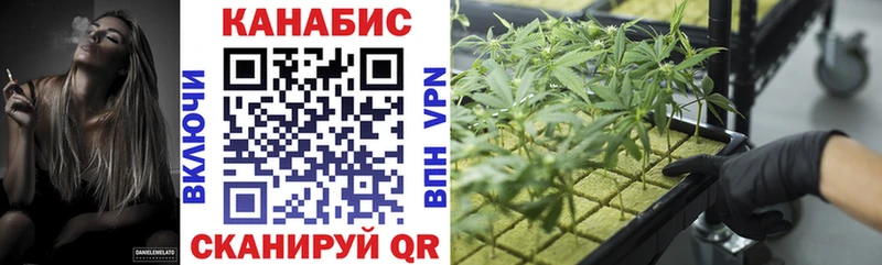 купить наркоту omg ссылка Бошки Шишки Ganja Выкса